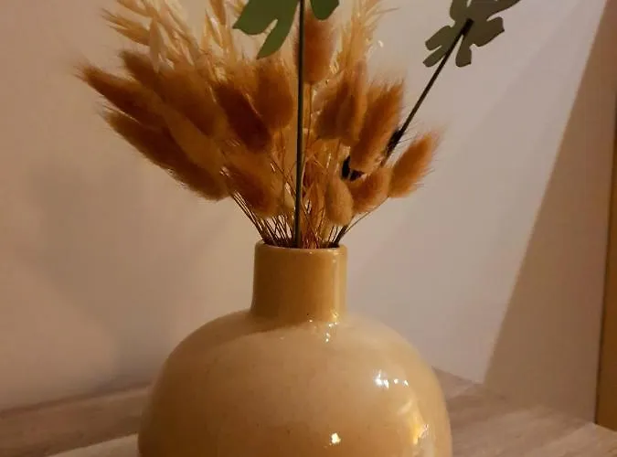 Apartamento Mon Chez Toi - Speranza *